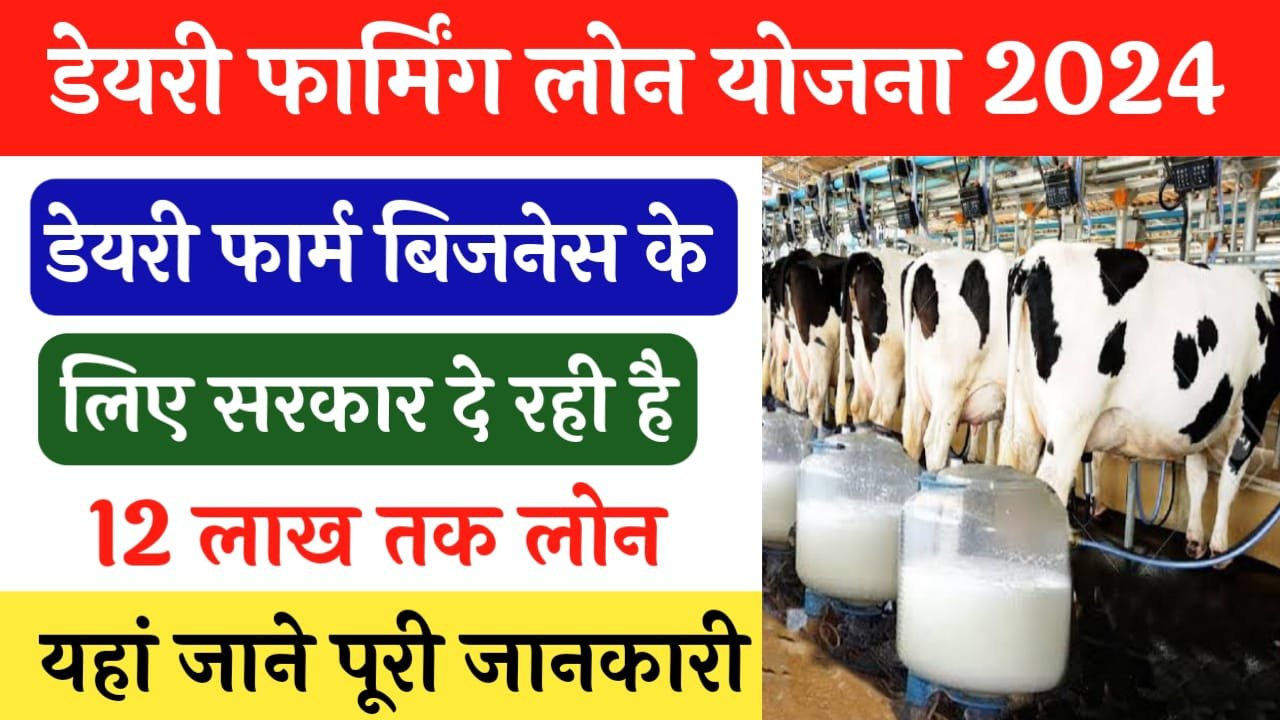 Dairy Farming Loan Apply: डेरी फार्मिंग बिजनेस के लिए मिल रहा है 12 लाख तक लोन, जाने आवेदन कैसे करें